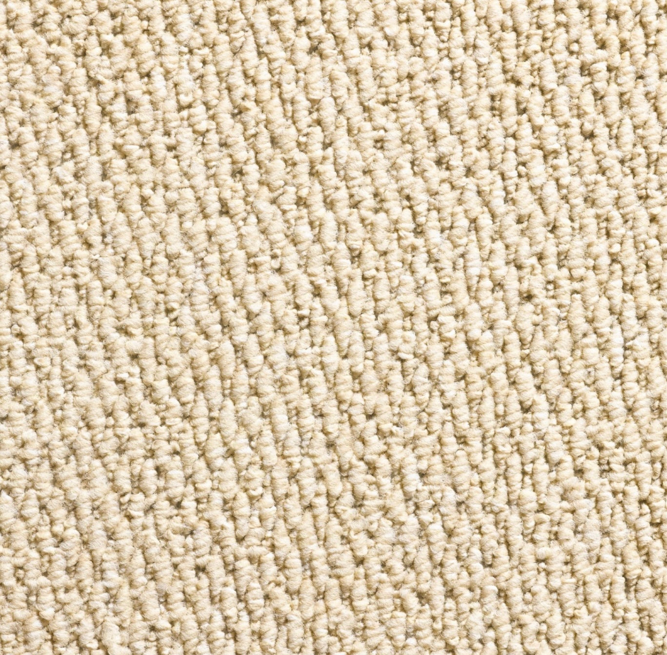 Regatta Stunning Beige Stair Runner With 100 % Pure Wool Edge - Rainbow Home